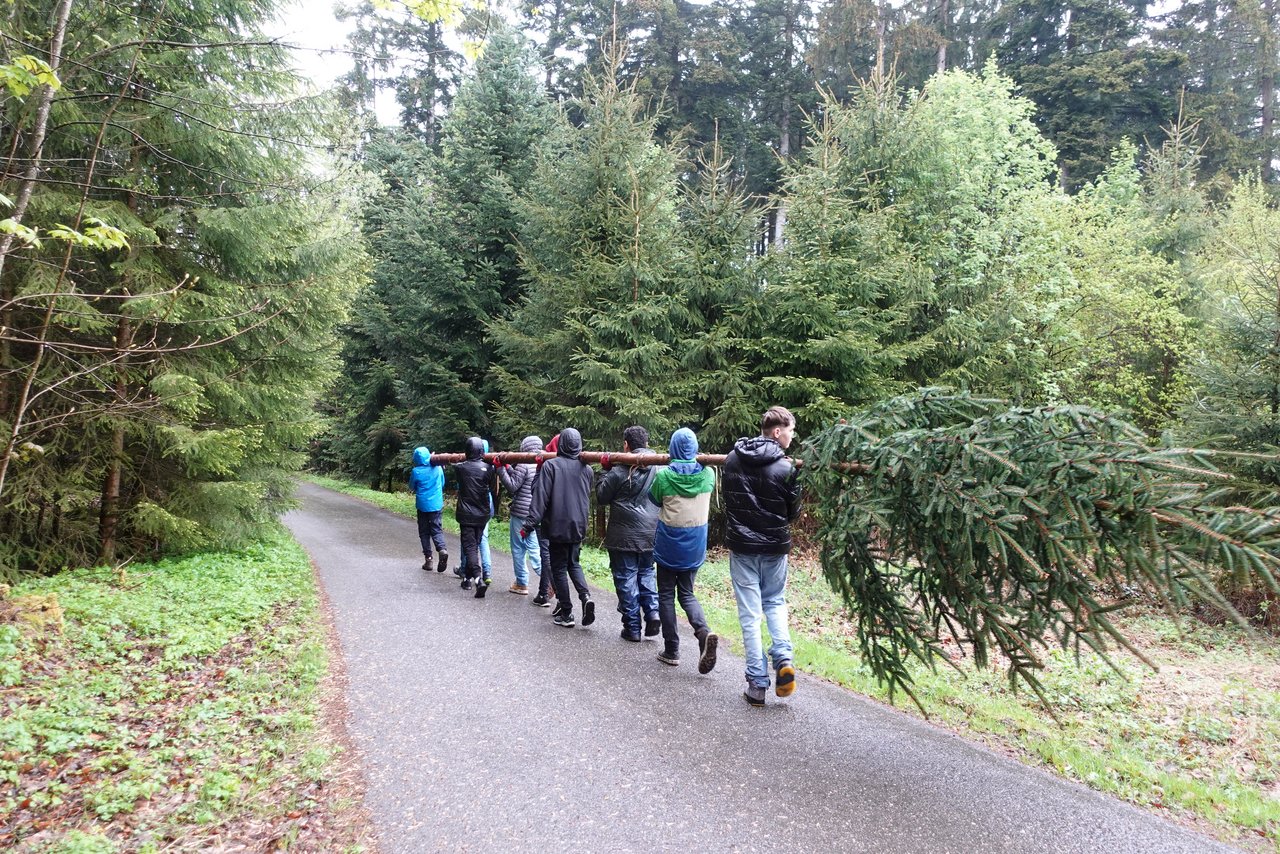 Gruppe Jugendliche transportiert einen Maibaum